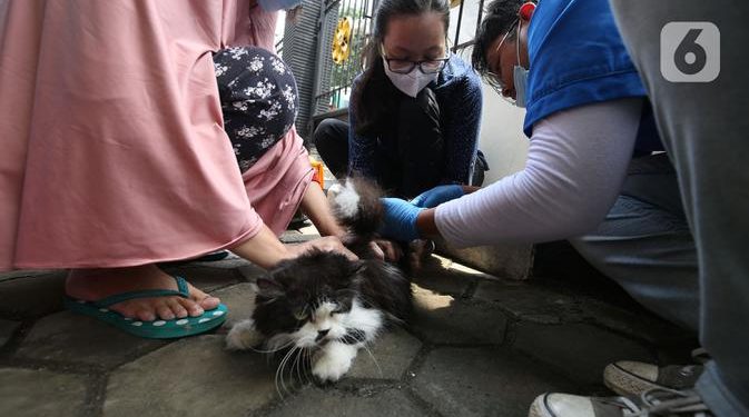 Jadi Game Changer Ekonomi, Vaksinasi Covid-19 Bakal Lanjut hingga Kuartal I 2022