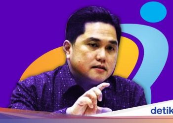 Umumkan Fatwa Halal Sudah Keluar, Erick Thohir: Vaksin Sinovac Aman