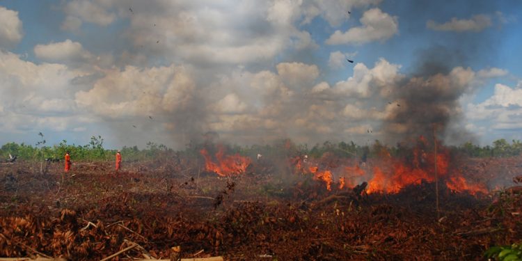 Perubahan Iklim Ancaman Global yang Berdampak Sama Seperti Pandemi Covid-19