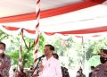 Presiden Joko Widodo Meninjau Kegiatan Serbuan Vaksinasi Merdeka Kerjasama Polri dan IPB University