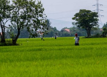Teken MoU dengan Kementan, Polri Siap Kawal Ketahanan Pangan