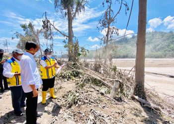 Presiden Jokowi Pastikan Penanganan Dampak Erupsi Semeru Berjalan Baik