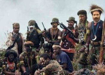 Sepanjang 2021, Polisi Catat 92 Aksi Libatkan Kelompok Separatis Teroris di Papua