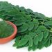 Manfaat Daun Kelor untuk Kesehatan