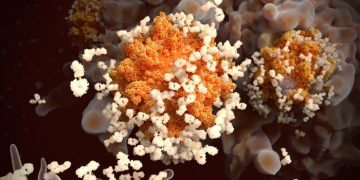 Studi Sebut Antibodi Virus Corona Bisa Bertahan Setidaknya 6 Bulan