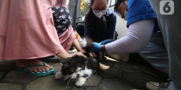 Jadi Game Changer Ekonomi, Vaksinasi Covid-19 Bakal Lanjut hingga Kuartal I 2022