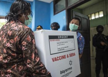 Vaksin COVID-19 Sinovac Tiba di Sejumlah Daerah, Simak Lebih Dekat Alur Distribusinya