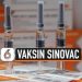 VIDEO: Mengapa Efikasi Vaksin Covid-19 Sinovac di Indonesia 65,3 Persen?