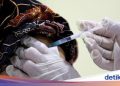 Saat Ratusan Guru di Jakarta Disuntik Vaksin Corona