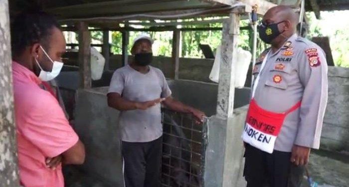 Sinergitas Polri – Petani di Mimika : Bikin Hasil Pertanian Meningkat