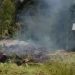 Tradisi bakar honai di Ilaga, Papua, kepala Suku puncak: situasi sudah aman