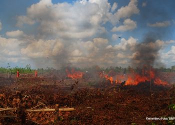 Perubahan Iklim Ancaman Global yang Berdampak Sama Seperti Pandemi Covid-19