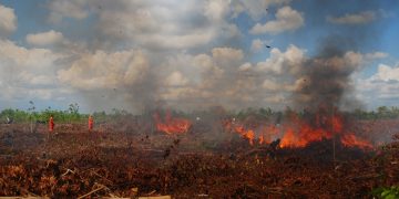 Perubahan Iklim Ancaman Global yang Berdampak Sama Seperti Pandemi Covid-19