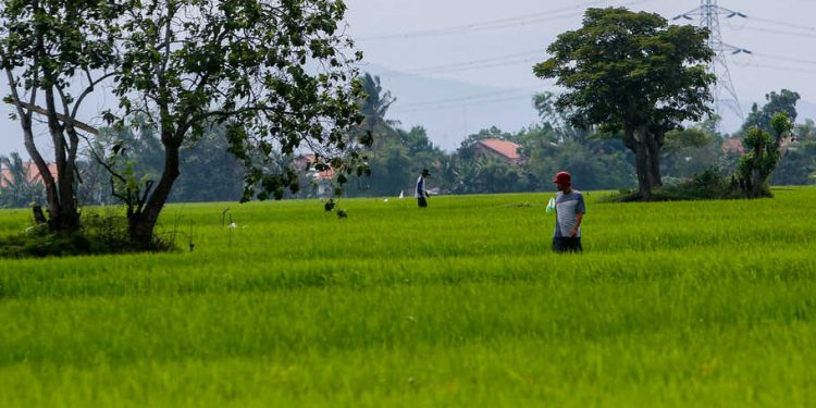 Teken MoU dengan Kementan, Polri Siap Kawal Ketahanan Pangan